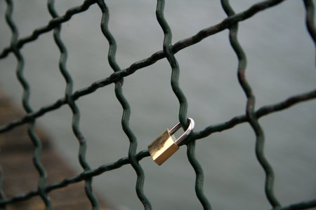 Padlock on a chain link fence.