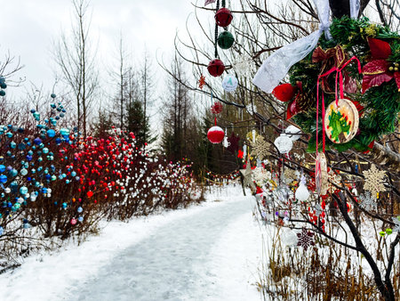 Christmas decorations on a tree in the forest. Christmas tree decorated with toys.の写真素材