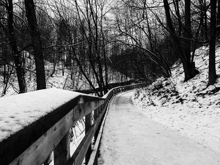 Wooden bridge in the winter forest. Black and white photos.の写真素材