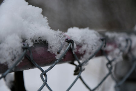 Frozen chain link fence with snow. Winter background. Selective focus.の写真素材
