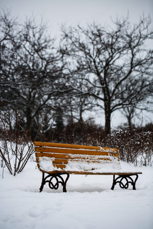 Wooden bench in the park during the snowfall in winter.