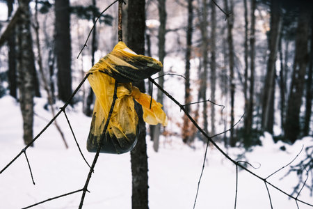 garbage bag in the forest in winter, concept of environmental pollution. Environmental pollution...