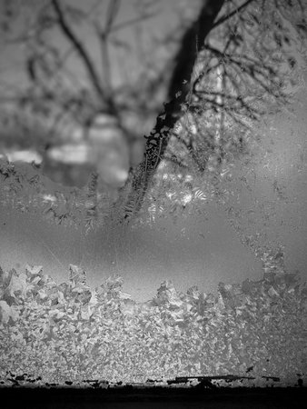 Frosty natural pattern on window glass in black and white.