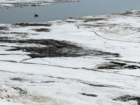 Geese on the ice of a frozen lake. Winter landscape.の写真素材