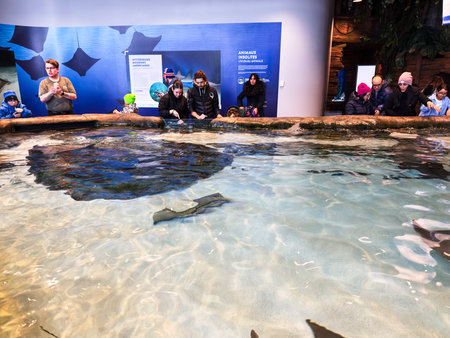 People visit the stingray pool at the Quebec Aquarium.