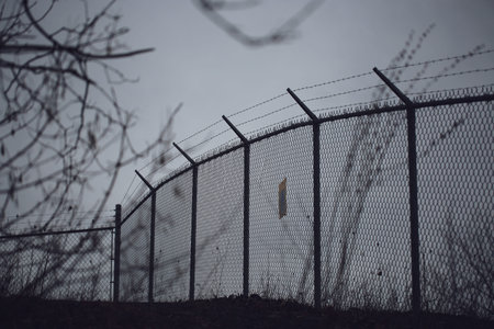 Barbed wire fence on a plot of land.