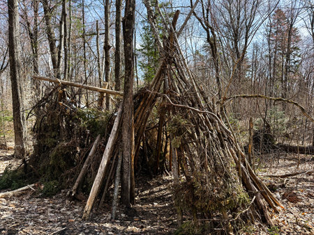 A shelter in the forest in spring. Survivalism.