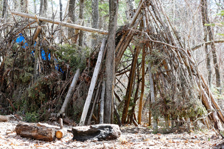 A shelter in the forest in spring. Survivalism.