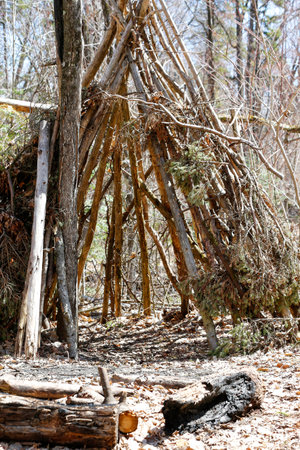 A shelter in the forest in spring. Survivalism.の写真素材