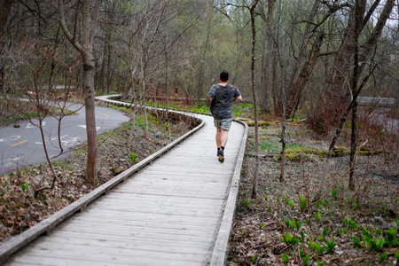 Young man jogging on a wooden boardwalk through the forest.