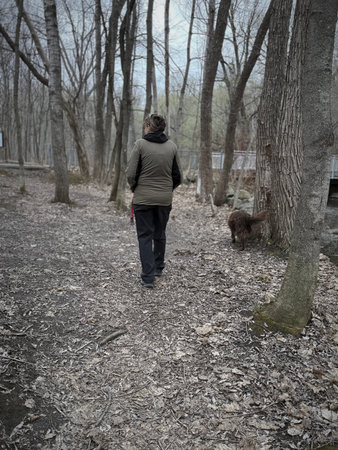 Woman walking with dog in the forest. Selective focus and shallow depth of field.