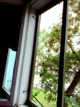 View of the window from the outside, with green trees in the backgroundのeditorial素材