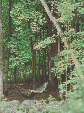 Hammock in a wooded park, in the forest. Summer landscape.の写真素材