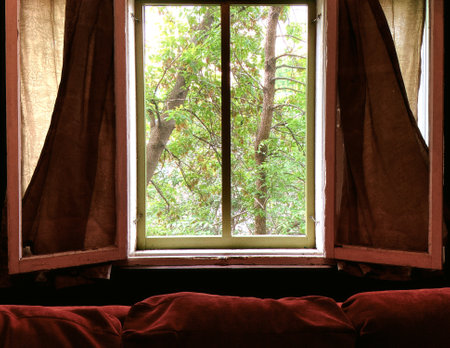 Wooden window with a view of the green forest on the backgroundの写真素材