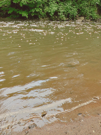 River flowing through the forest, close-up of a riverbankの写真素材