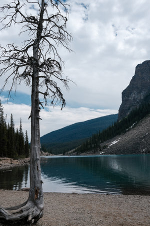 Lake Moraine in Banff National Park, Alberta, Canada.の写真素材