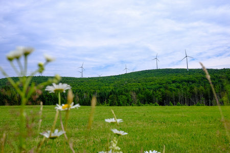 Wind turbines on green meadow with forest in background