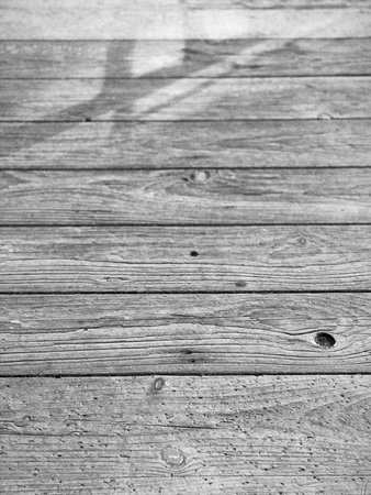 black and white background of old wooden floor with shadowの写真素材