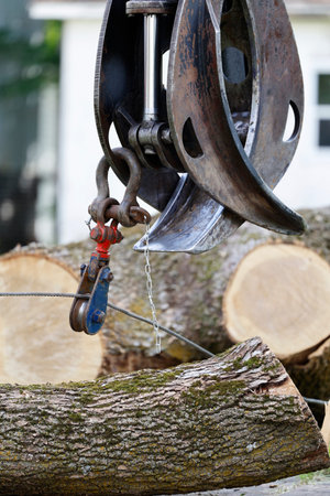 Cutting a tree with a chainsaw. Selective focus. Closeup of a tree stump. Damage caused by the...