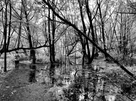 Black and white photo of forest with reflection in the water.