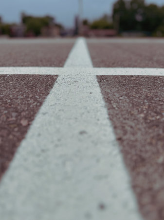 Close-up of a white line on an asphalt road in the parkの写真素材