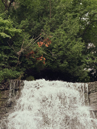 Waterfall in the forest in the summer.の写真素材
