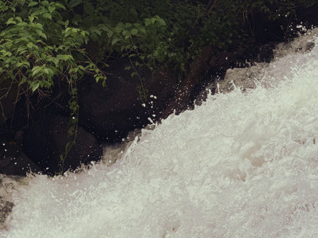 Waterfall in the forest in the summer.