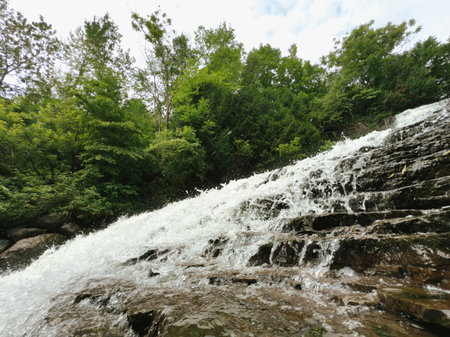 Waterfall in the forest in the summer.の写真素材
