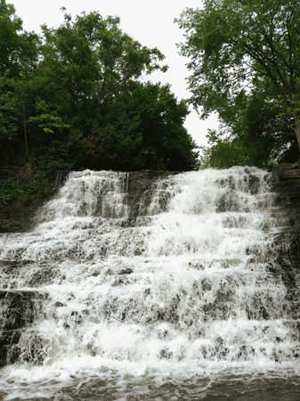 Waterfall in the forest in the summer.の写真素材
