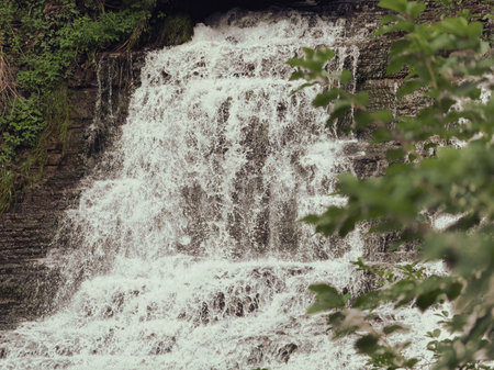Waterfall in the forest in the summer.の写真素材