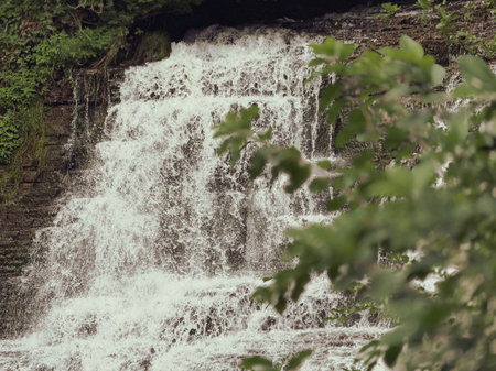 Waterfall in the forest in the summer.の写真素材