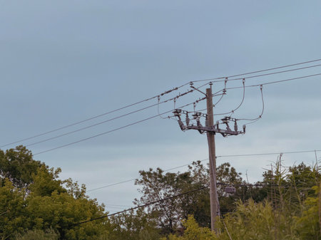Power line with blue sky and white clouds in the background. Electricity distribution. Electric pole with blue sky background, power lines, cables and a tree in summer.の写真素材