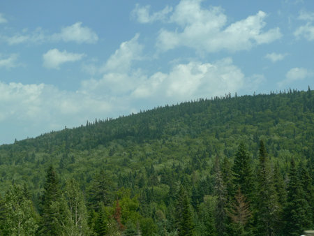 View from the car on the road to the top of the mountain.の写真素材