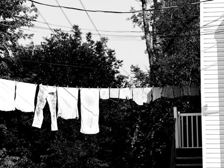 Laundry hanging on the clothesline in black and white.の写真素材