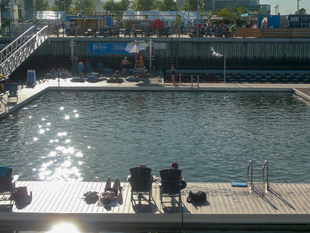 Swimming in the St. Lawrence River at the Oasis of the Port of Quebec