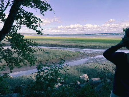 Beautiful summer landscape with blue sky and clouds over the river. Low tide in the river. The river is covered with green grass.の写真素材
