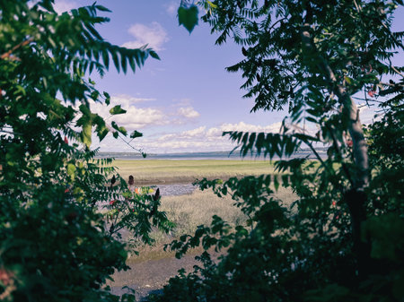 Beautiful summer landscape with blue sky and clouds over the river. Low tide in the river. The river...