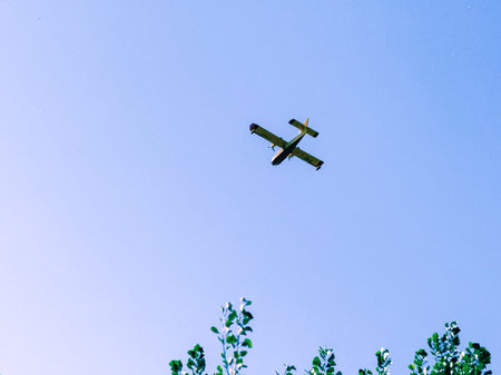 Airplane flying in the blue sky with green trees in the background