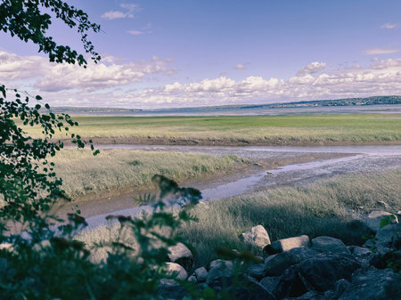 Beautiful summer landscape with blue sky and clouds over the river. Low tide in the river. The river...