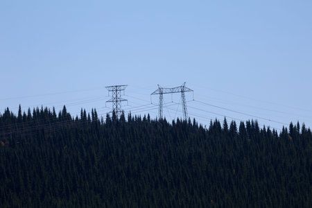 Power line on the background of coniferous forest in the mountains