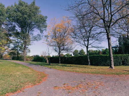 Park in autumn with trees and grass under blue sky. Quebec, Canada.