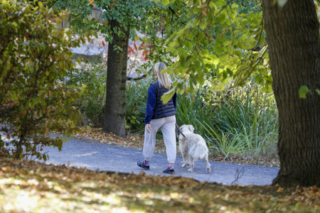 Woman walking with her dog in the park on a sunny autumn day. Quebec, Canadaのeditorial素材