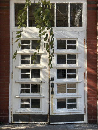 Old white wooden door with green leaves in front of a brick wall