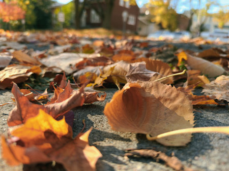Fallen autumn leaves on the ground in the city. Selective focus.