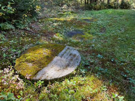 Concrete slab covering a septic tank with moss and lichen on it.