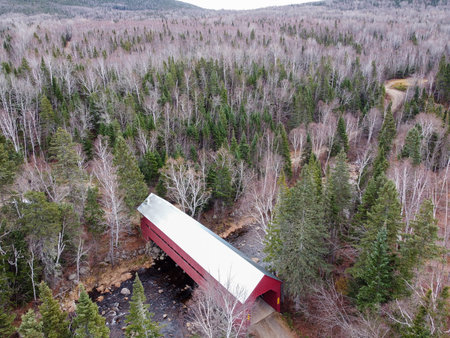 Aerial view of a bridge over a river in the forest. An old covered bridge in the forest of Quebec,...