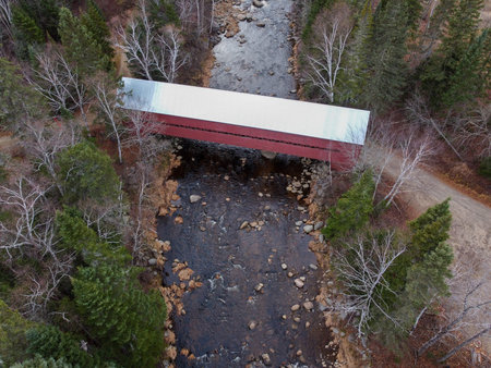 Aerial view of a bridge over a river in the forest. Aerial view of a bridge over a river in the...