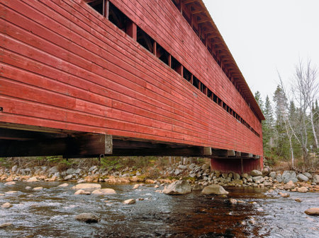 The old bridge over the river in the forest. A wooden covered bridge over a stream in the middle of...