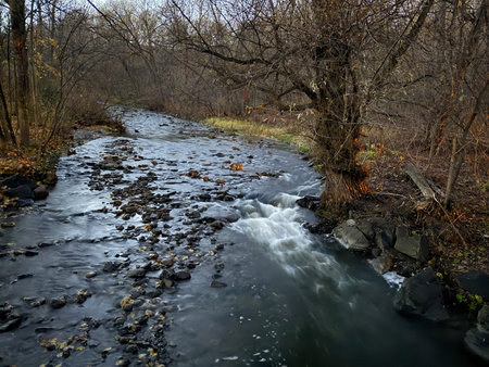 Autumn landscape with a small stream in the forest. A river in the forest in autumn at dusk.