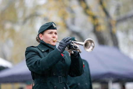 Military parade in Quebec. Remembrance Day ceremony in Quebec city. Canada